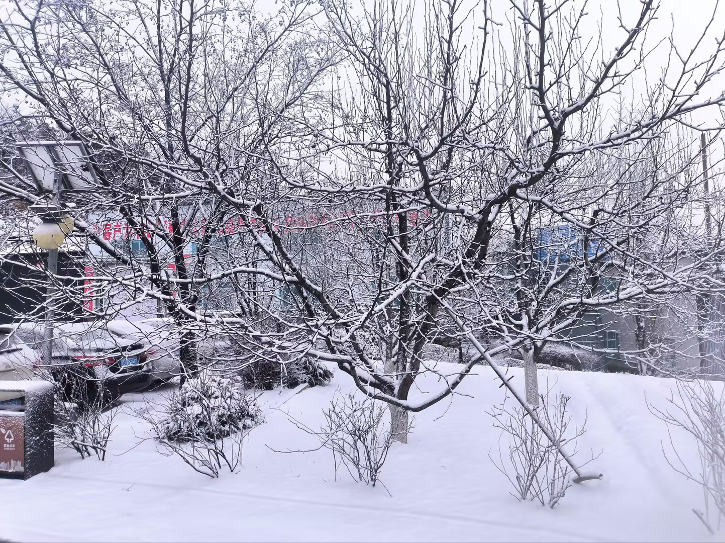 博瑞特：瑞雪啟新程，展望未來(lái)景
